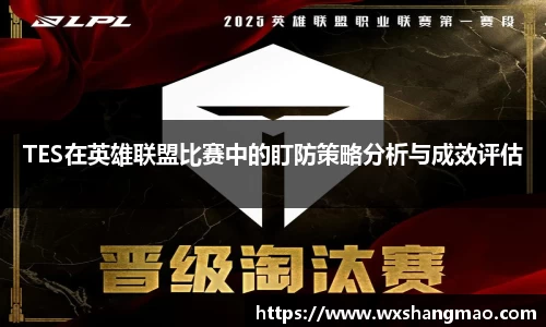 TES在英雄联盟比赛中的盯防策略分析与成效评估